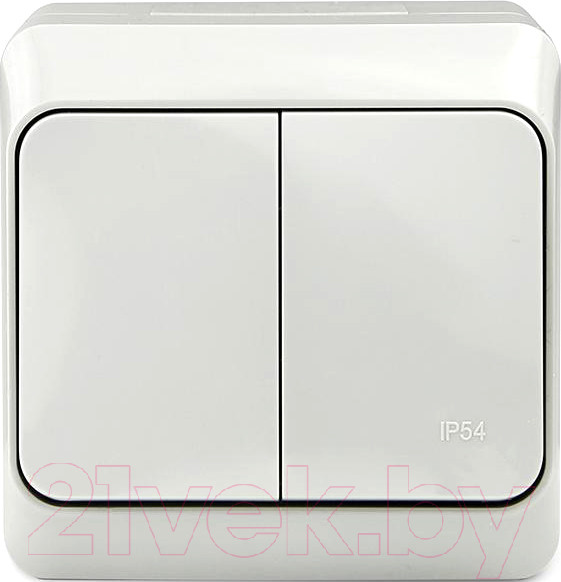 Изображение товара Выключатель Tokov Electric TKE-NX-V2-C06-IP54