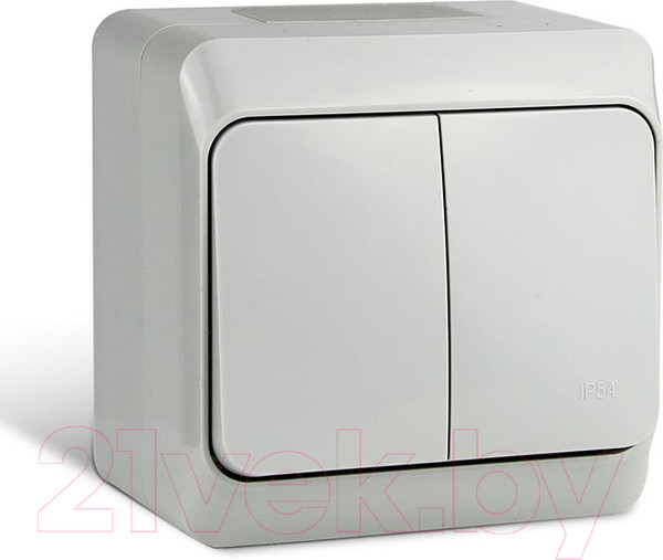 Изображение товара Выключатель Tokov Electric TKE-NX-V2-C06-IP54