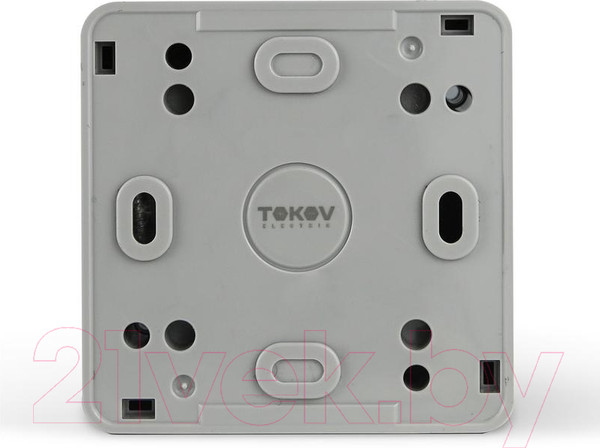 Изображение товара Выключатель Tokov Electric TKE-NX-V2-C06-IP54