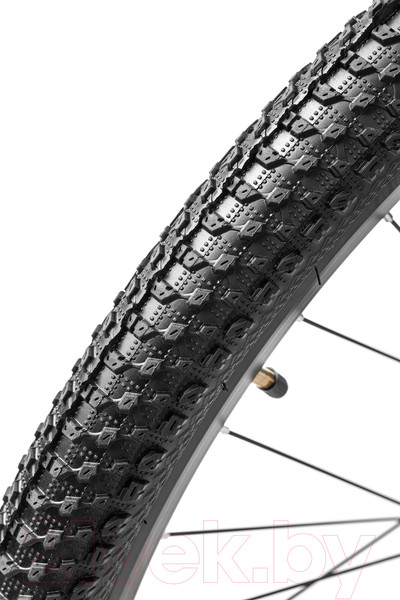 Изображение товара Велосипед Arena Baxter 29 2024 (19, черный матовый)