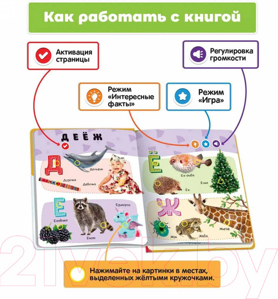 Изображение товара Музыкальная книга BertToys Нажималка Русский алфавит FD143