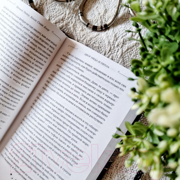 Изображение товара Книга Эксмо Двор меда и пепла (Майер Ш., Сент Клер К.)