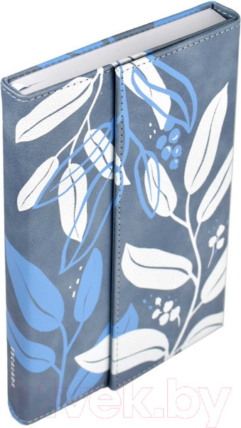 Изображение товара Ежедневник Escalada Шеврет Экстра / 63964 (160л, серый/голубой)