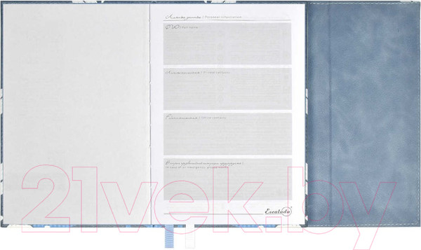 Изображение товара Ежедневник Escalada Шеврет Экстра / 63964 (160л, серый/голубой)