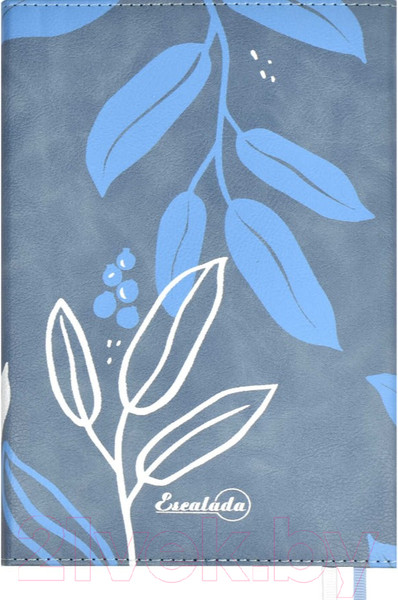 Изображение товара Ежедневник Escalada Шеврет Экстра / 63964 (160л, серый/голубой)
