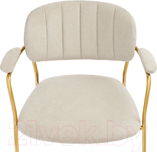 Изображение товара Стул Bergenson Bjorn Eirill / BB0000110 (серый)