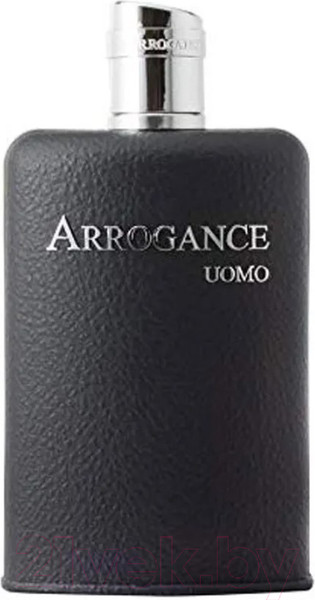 Изображение товара Туалетная вода Arrogance Uomo (100мл)