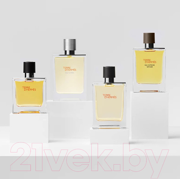 Изображение товара Парфюмерная вода Hermes Terre D'Hermes Eau Givree (50мл)