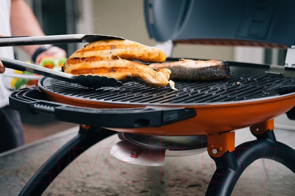 Изображение товара Газовый гриль O-GRILL 700T (синий)