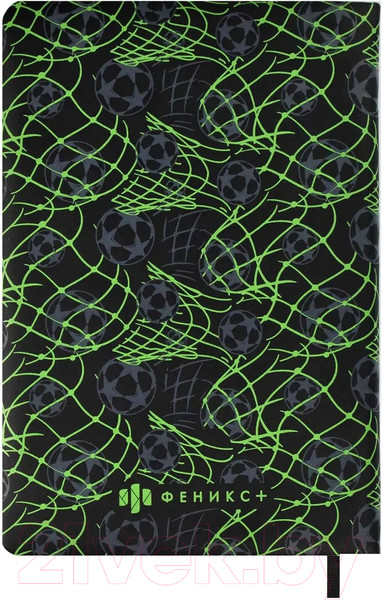 Изображение товара Записная книжка Феникс+ Футбольный мяч / 65106