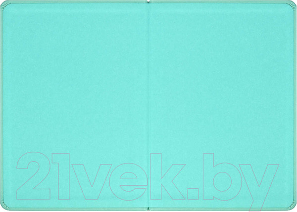 Изображение товара Записная книжка Феникс+ Бантик / 63469