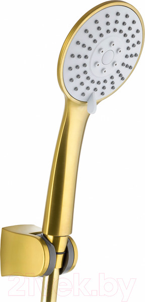 Изображение товара Душевой гарнитур Armatura Moza 841-220-31