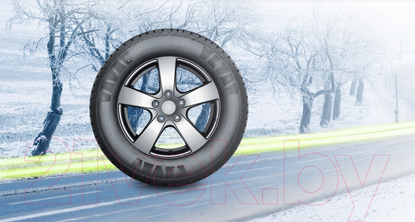 Изображение товара Зимняя легкогрузовая шина Evergreen EW616 215/70R15C 113/111S