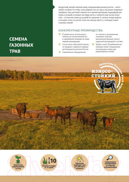 Изображение товара Семена газонной травы Мираторг Карликовый (1кг)