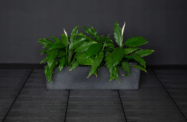 Изображение товара Кашпо Multy Home Sonata Plain Tapered EU5100294 (стальной серый)