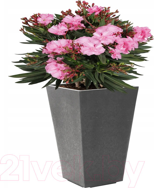 Изображение товара Кашпо Multy Home Sonata EU5100007 (стальной серый)