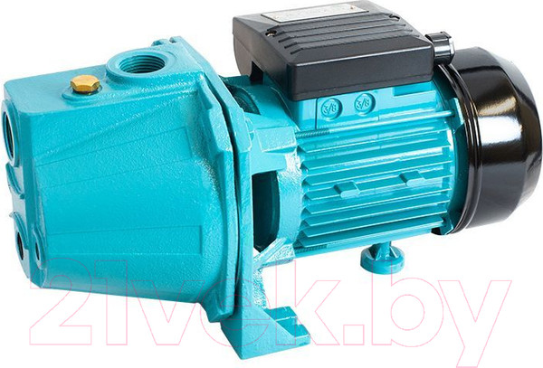 Изображение товара Поверхностный насос GreenPump JET 100 А(а) (без бака)
