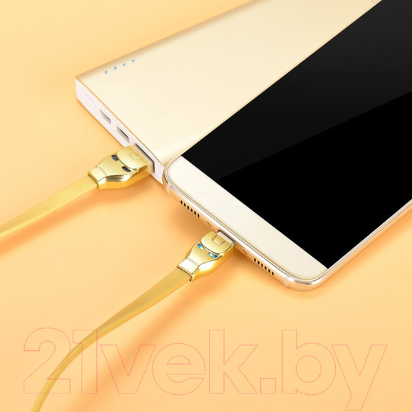 Изображение товара Кабель Hoco U14 Type-C (1.2м, золотой)