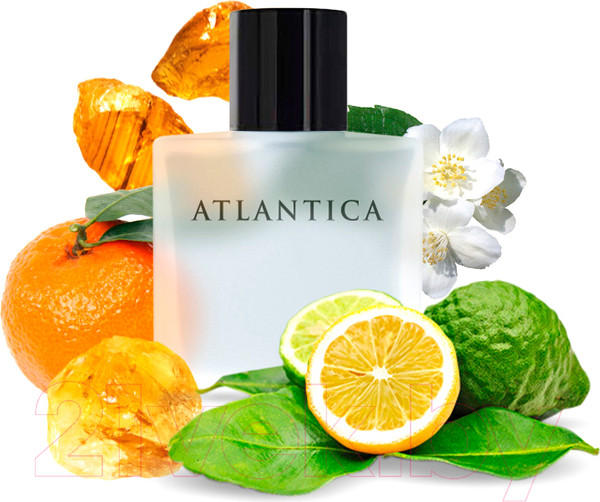 Изображение товара Парфюмерная вода Dilis Parfum Atlantica Silver Moon (100мл)