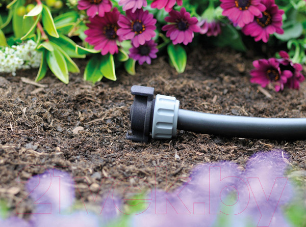 Изображение товара Заглушка для шланга Hozelock 70160000 (2шт)