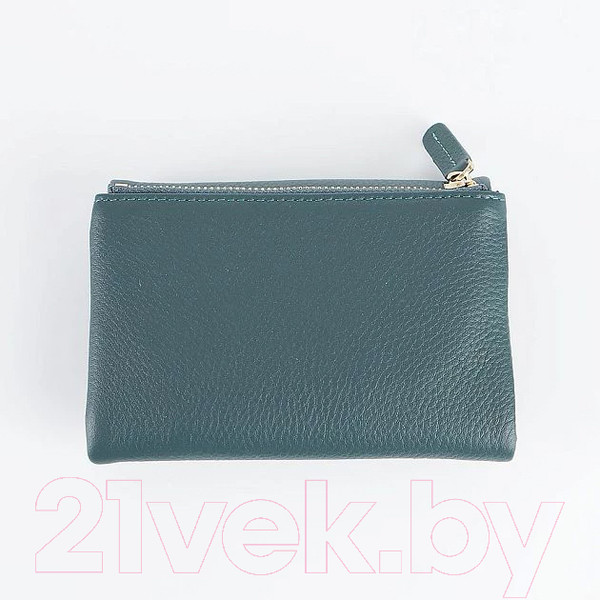 Изображение товара Портмоне Francesco Molinary 895-6090-LGN (зеленый)