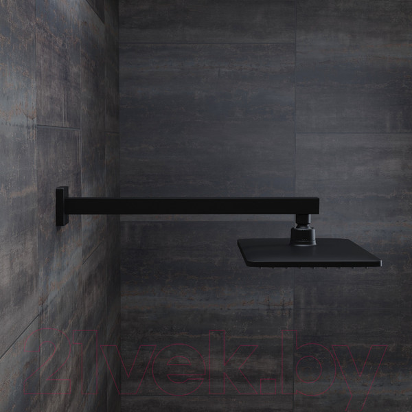 Изображение товара Душевой кронштейн IDDIS Optima Home OPH40BSi61