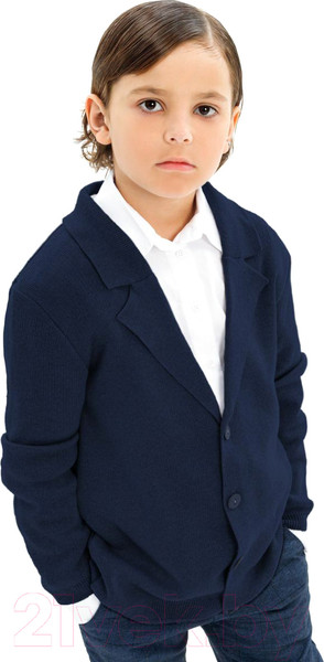 Изображение товара Пиджак детский Amarobaby Pure Love School / AB-OD23-PLS30/20-140 (р.140, синий)
