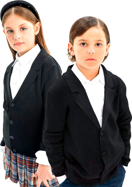 Изображение товара Пиджак детский Amarobaby Pure Love School / AB-OD23-PLS30/09-146 (р.146, черный)