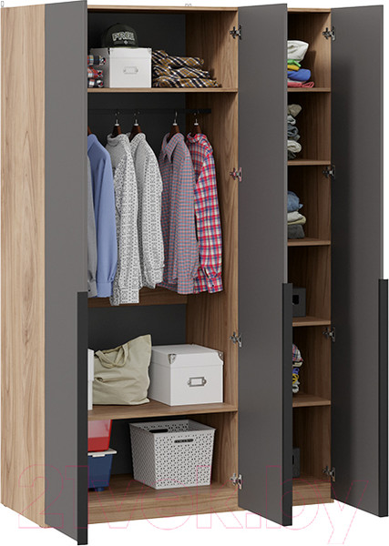 Изображение товара Шкаф ТриЯ Порто СМ-393.07.113 с 3 глухими дверями (яблоня беллуно/графит софт)