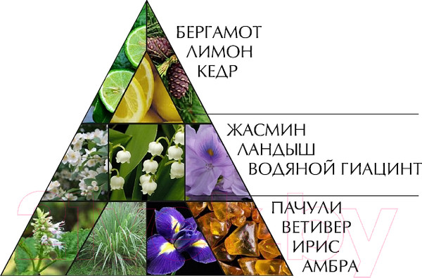 Изображение товара Духи Новая Заря Шансита Аква верде (16мл, в футляре)