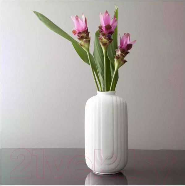 Изображение товара Ваза Wallendorfer Art Deco 015/114/0250/1360