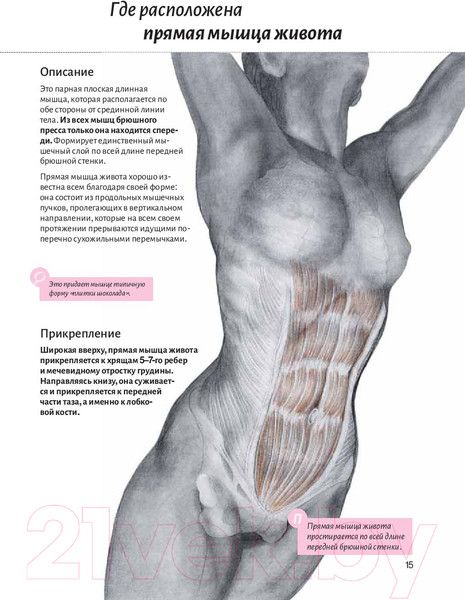 Изображение товара Книга Попурри Анатомия пресса (Кале-Жермен Б.)