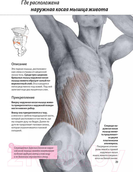 Изображение товара Книга Попурри Анатомия пресса (Кале-Жермен Б.)