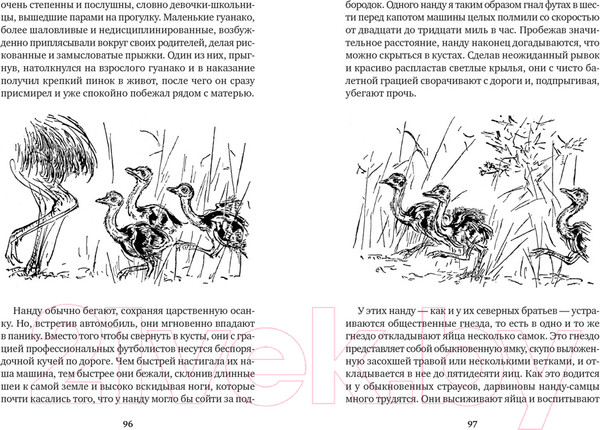 Изображение товара Книга Азбука Земля шорохов. Поместье-зверинец (Даррелл Дж.)