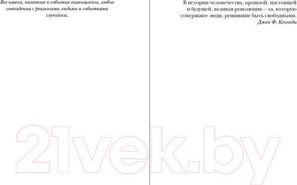 Изображение товара Художественная книга Иностранка Ноа (Леви М.)