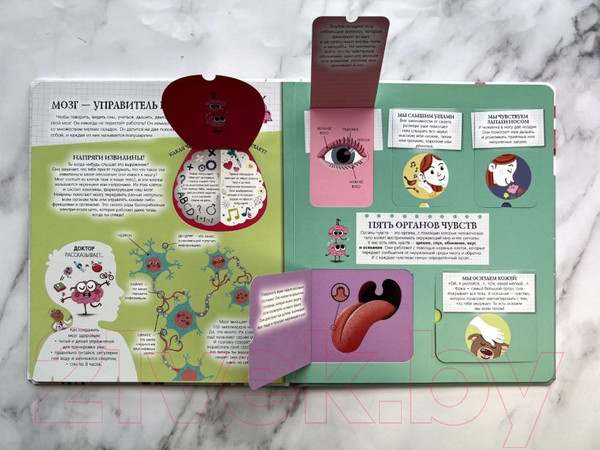 Изображение товара Энциклопедия Эксмо Мое тело (Ломбер Ф.)