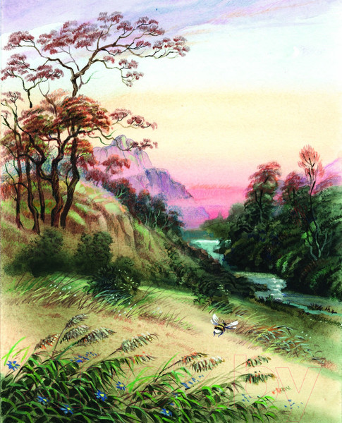 Изображение товара Книга Эксмо Рассказы о животных (Сетон-Томпсон Э.)