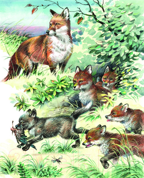 Изображение товара Книга Эксмо Рассказы о животных (Сетон-Томпсон Э.)