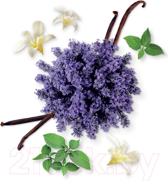 Изображение товара Парфюмерная вода Mauboussin Pour Homme (100мл)