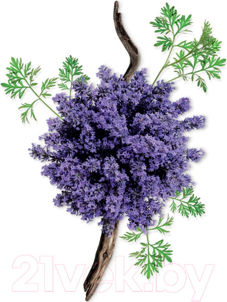 Изображение товара Парфюмерная вода Mauboussin Pour Lui (100мл)