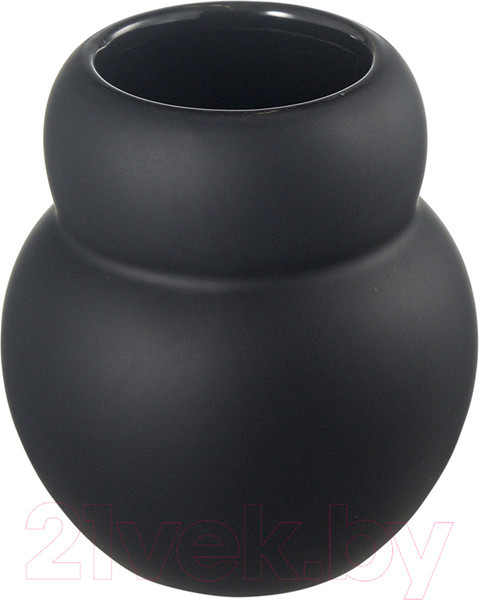 Изображение товара Стакан для зубной щетки и пасты Bergenson Bjorn Markl / BB000074 (черный)