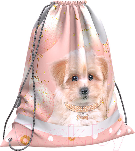 Изображение товара Мешок для обуви Erich Krause Maltipu / 60270