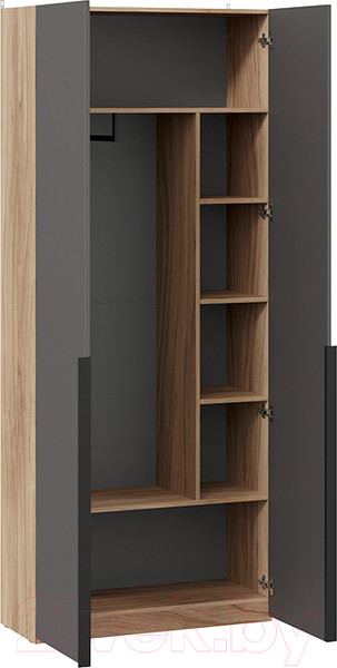 Изображение товара Шкаф ТриЯ Порто СМ-393.07.223 с 2 глухими дверями (яблоня беллуно/графит софт)