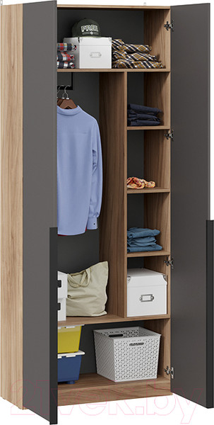 Изображение товара Шкаф ТриЯ Порто СМ-393.07.223 с 2 глухими дверями (яблоня беллуно/графит софт)
