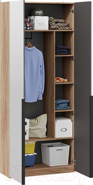 Изображение товара Шкаф ТриЯ Порто СМ-393.07.225 с 1 глухой и 1 зеркальной дверями (яблоня беллуно/графит софт)