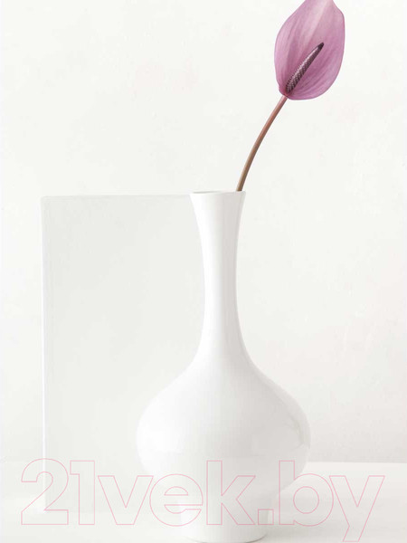 Изображение товара Ваза Wallendorfer Exir 015/113/0330/1360