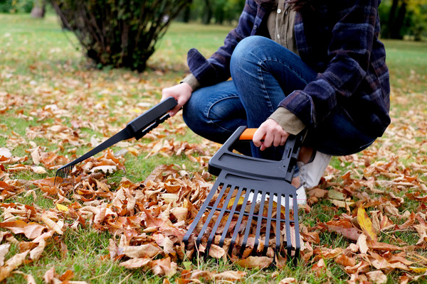 Изображение товара Грабли Plantic Terra 3 в 1 / 23200-01