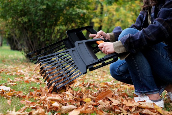 Изображение товара Грабли Plantic Terra 3 в 1 / 23200-01