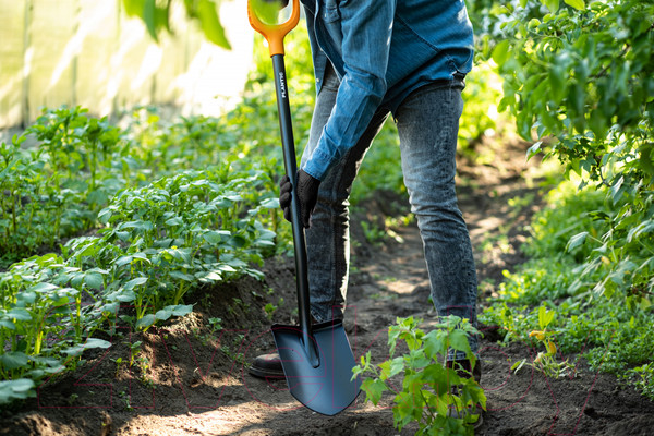 Изображение товара Лопата Plantic Terra 11005-01