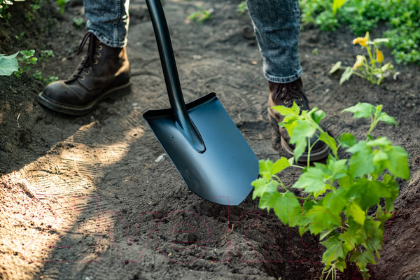 Изображение товара Лопата Plantic Terra 11005-01